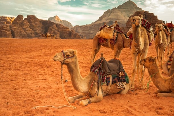 Filming on location at Wadi Rum, Jordan